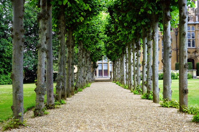Aménagement extérieur & Jardinage